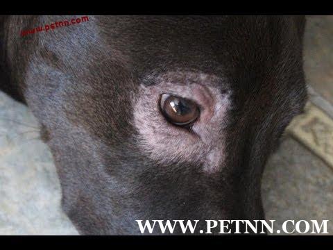 /attachment/editor/20231125/1700899526soabh.jpg /attachment/editor/20231125/1700899526soabh.jpg