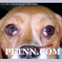 /attachment/editor/20240119/1705670644ruzqr.jpg /attachment/editor/20240119/1705670644ruzqr.jpg